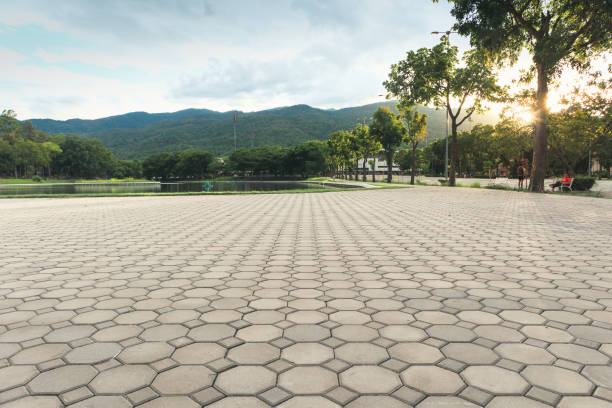 Best Driveway Pavers Near Me  in Alvin, TX